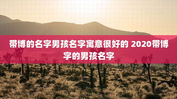 带博的名字男孩名字寓意很好的 2020带博字的男孩名字