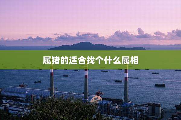 属猪的适合找个什么属相