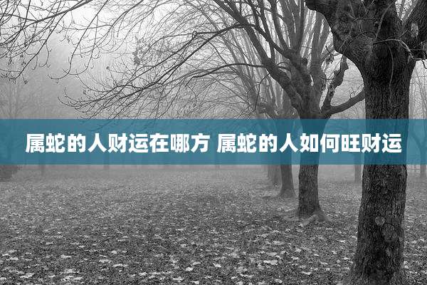 属蛇的人财运在哪方 属蛇的人如何旺财运