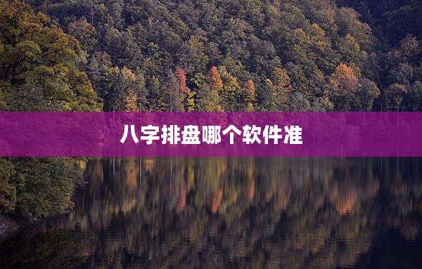 八字排盘哪个软件准