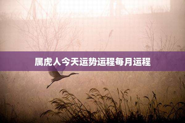 属虎人今天运势运程每月运程