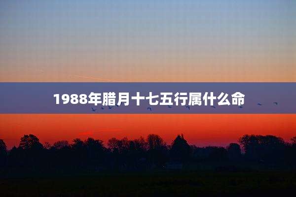 1988年腊月十七五行属什么命