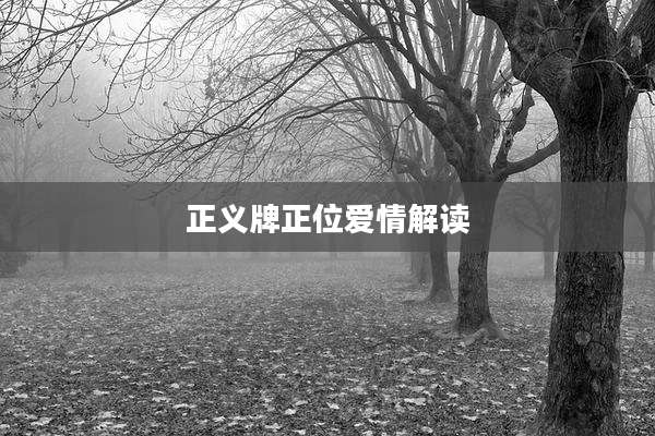 正义牌正位爱情解读