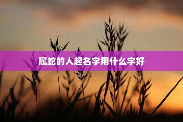 属蛇的人起名字用什么字好