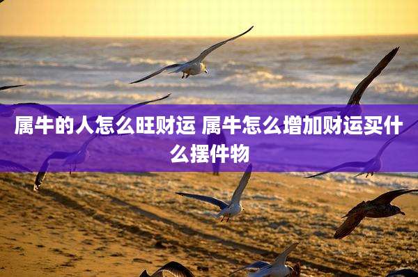属牛的人怎么旺财运 属牛怎么增加财运买什么摆件物