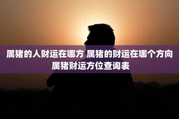 属猪的人财运在哪方 属猪的财运在哪个方向 属猪财运方位查询表