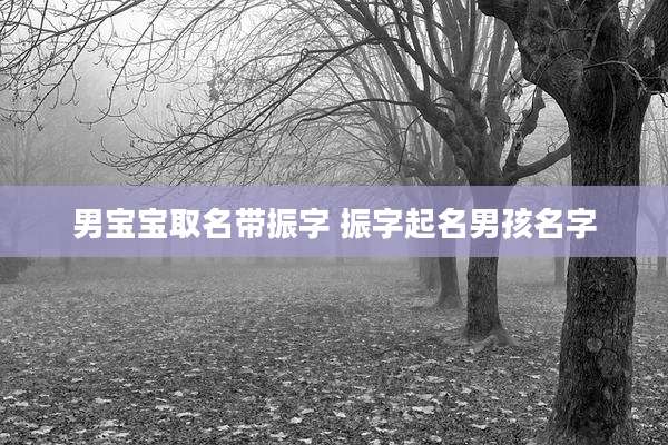 男宝宝取名带振字 振字起名男孩名字