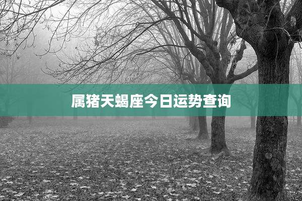 属猪天蝎座今日运势查询