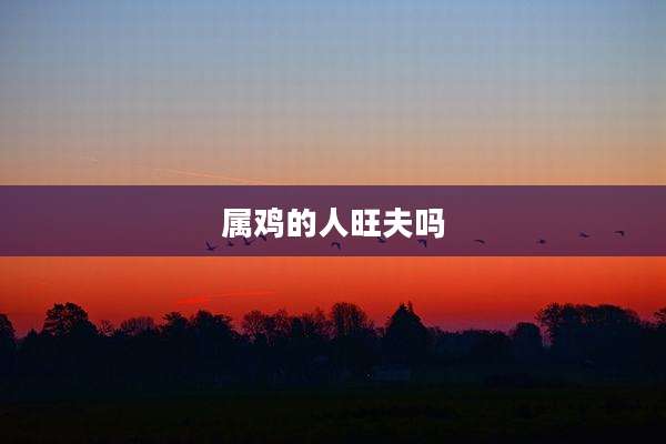 属鸡的人旺夫吗