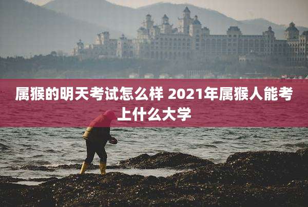 属猴的明天考试怎么样 2021年属猴人能考上什么大学