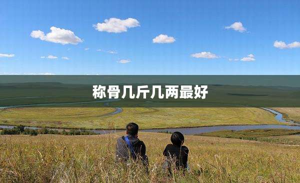 称骨几斤几两最好