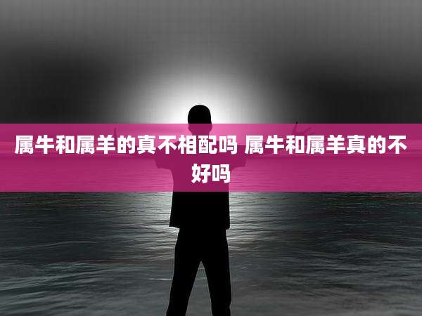 属牛和属羊的真不相配吗 属牛和属羊真的不好吗