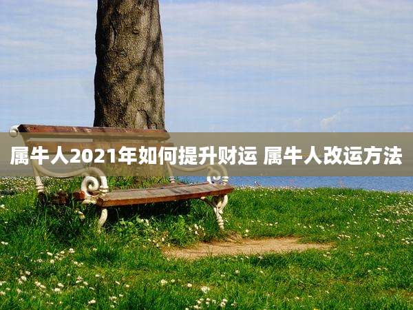 属牛人2021年如何提升财运 属牛人改运方法