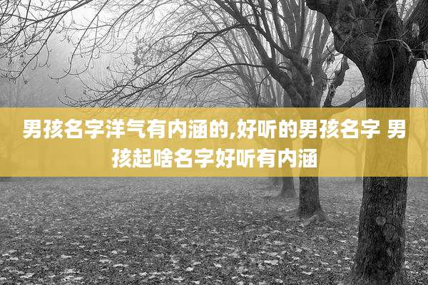 男孩名字洋气有内涵的,好听的男孩名字 男孩起啥名字好听有内涵
