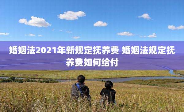 婚姻法2021年新规定抚养费 婚姻法规定抚养费如何给付