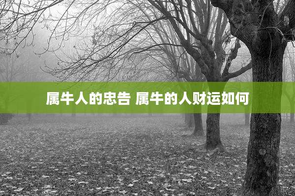 属牛人的忠告 属牛的人财运如何