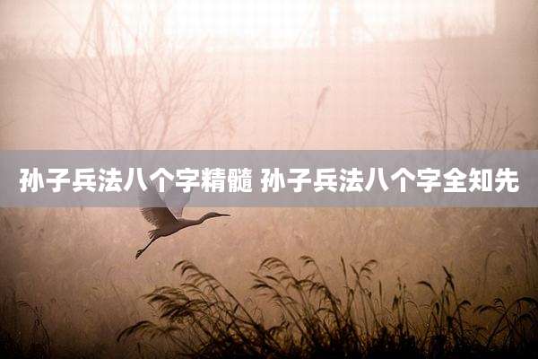 孙子兵法八个字精髓 孙子兵法八个字全知先