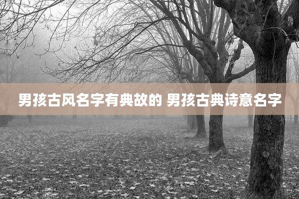 男孩古风名字有典故的 男孩古典诗意名字