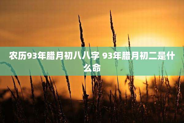 农历93年腊月初八八字 93年腊月初二是什么命