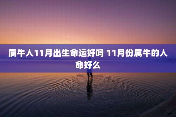 属牛人11月出生命运好吗 11月份属牛的人命好么