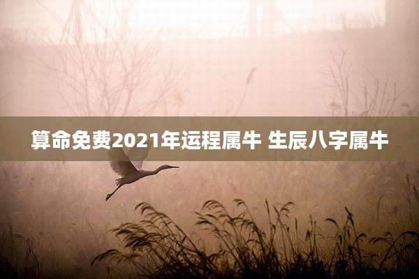 算命免费2021年运程属牛 生辰八字属牛