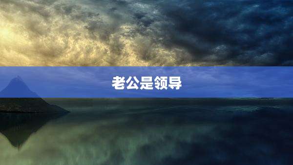 老公是领导
