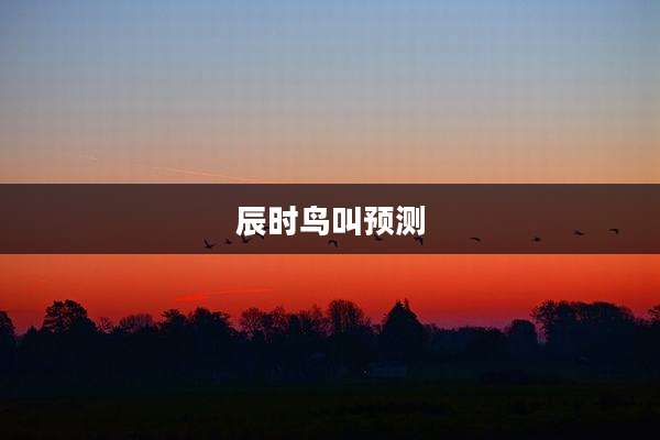 辰时鸟叫预测