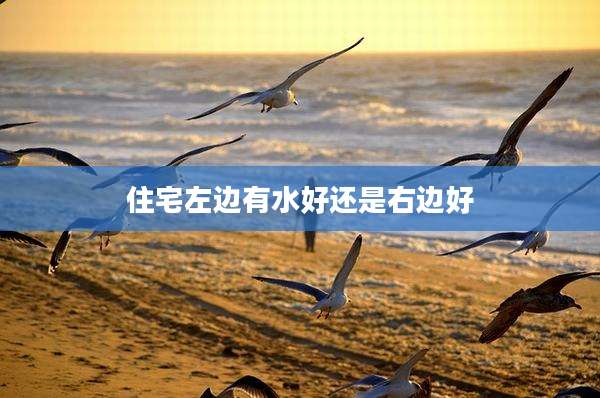 住宅左边有水好还是右边好