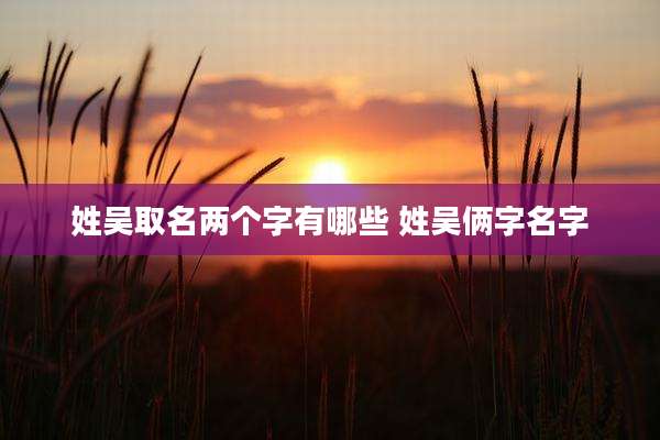 姓吴取名两个字有哪些 姓吴俩字名字