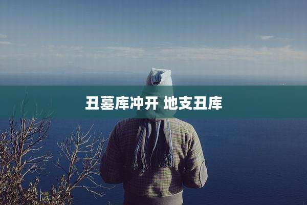 丑墓库冲开 地支丑库