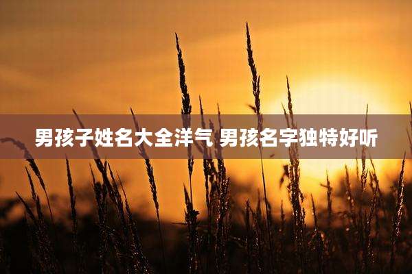男孩子姓名大全洋气 男孩名字独特好听