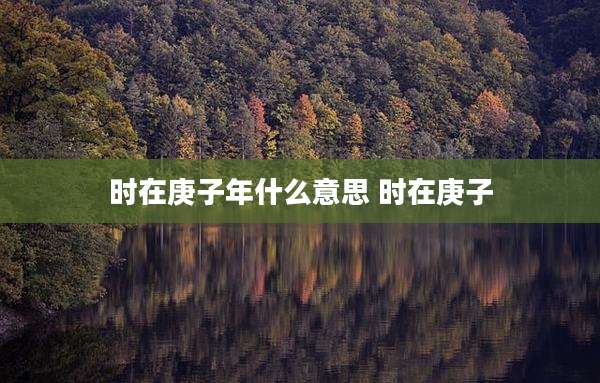 时在庚子年什么意思 时在庚子