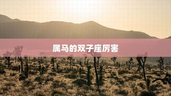 属马的双子座厉害