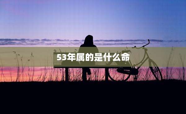 53年属的是什么命