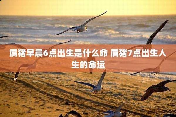 属猪早晨6点出生是什么命 属猪7点出生人生的命运