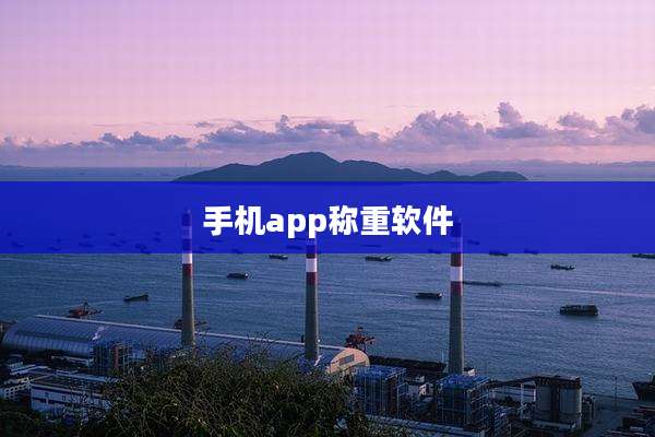 手机app称重软件