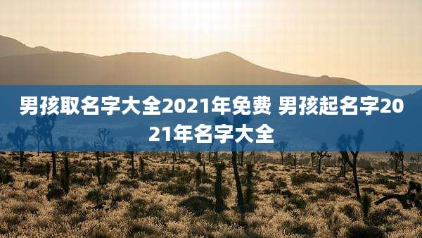 男孩取名字大全2021年免费 男孩起名字2021年名字大全