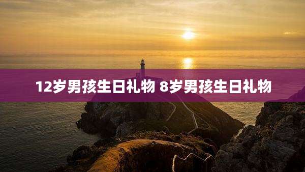 12岁男孩生日礼物 8岁男孩生日礼物