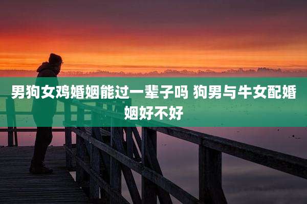 男狗女鸡婚姻能过一辈子吗 狗男与牛女配婚姻好不好