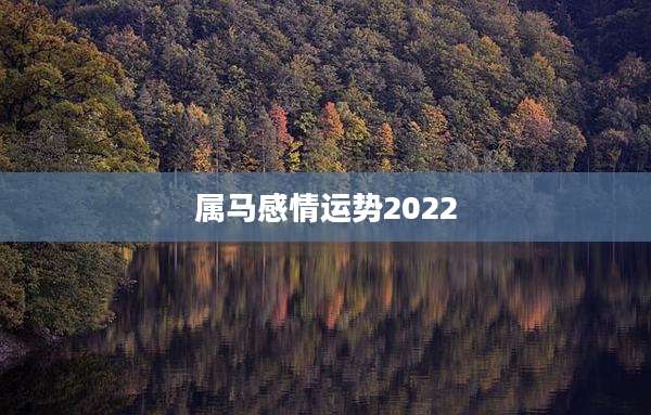 属马感情运势2022