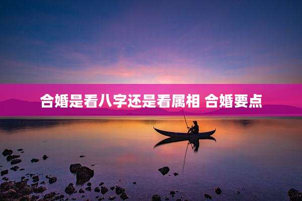 合婚是看八字还是看属相 合婚要点
