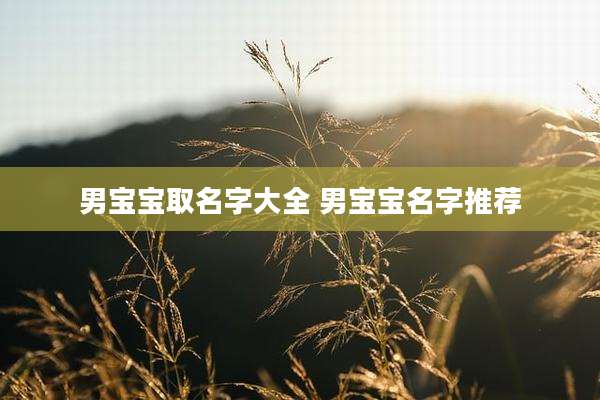 男宝宝取名字大全 男宝宝名字推荐