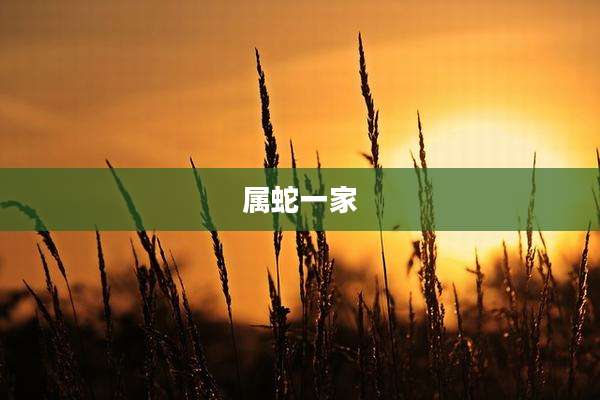 属蛇一家