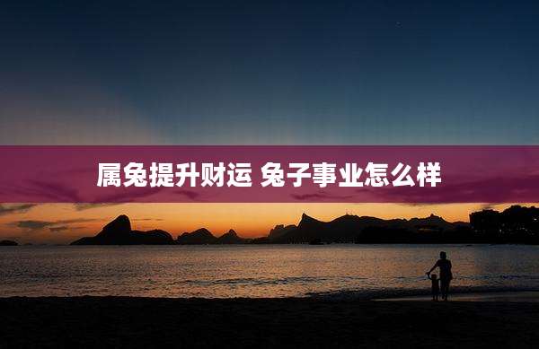 属兔提升财运 兔子事业怎么样