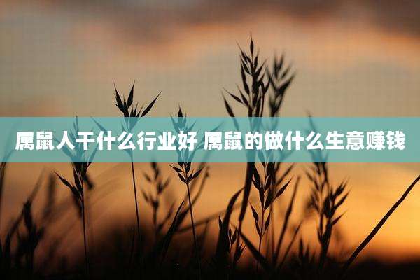 属鼠人干什么行业好 属鼠的做什么生意赚钱