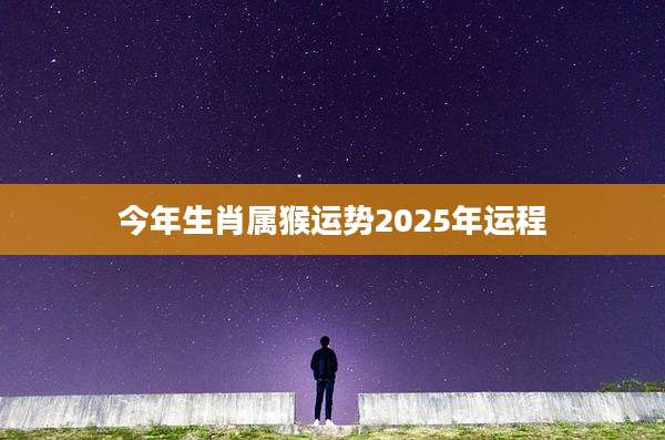 今年生肖属猴运势2025年运程