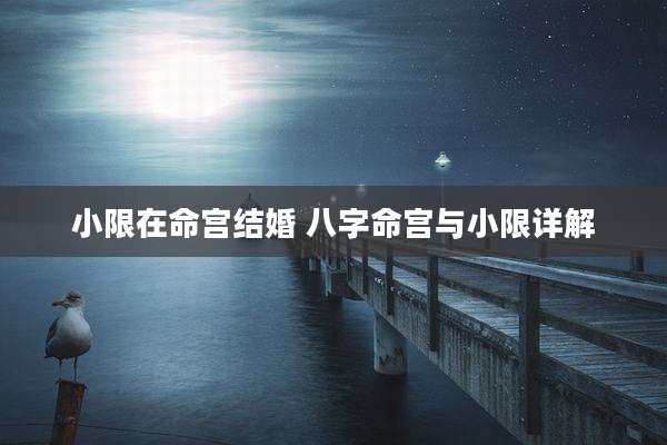 小限在命宫结婚 八字命宫与小限详解