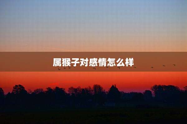 属猴子对感情怎么样