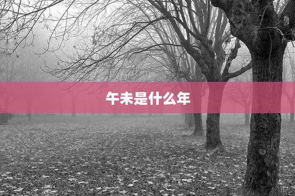 午未是什么年