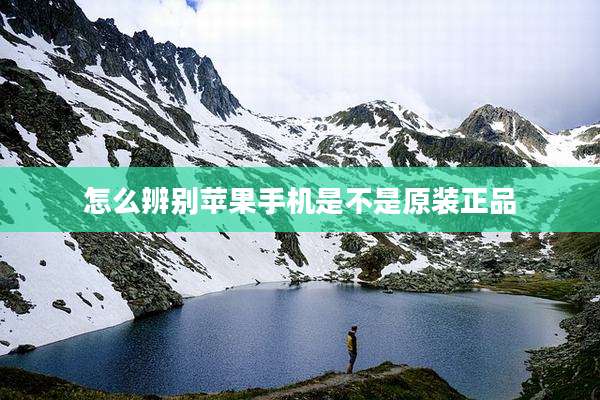 怎么辨别苹果手机是不是原装正品